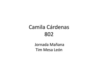 Camila Cárdenas
802
Jornada Mañana
Tim Mesa León
 
