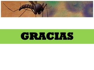 GRACIAS
 