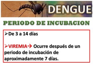 De 3 a 14 días

VIREMIA Ocurre después de un
periodo de incubación de
aproximadamente 7 días.
 