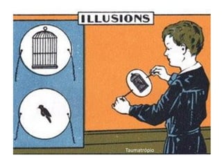 Taumatrópio
 
