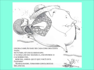 UM DIA CAMILÃO SAIU DE CASA COM UMA CESTA
VAZIA.
NO FUNDO, SÓ UM GUARDANAPO.
E NA ROÇA DO SEU MANDUCA, ENCONTROU O
CACHORRO FIEL.
_ BOM DIA, AMIGO. QUE É QUE VOCÊ ESTÁ
FAZENDO?
_ TRABALHANDO, TOMANDO CONTA DESTAS
MELANCIAS.
 
