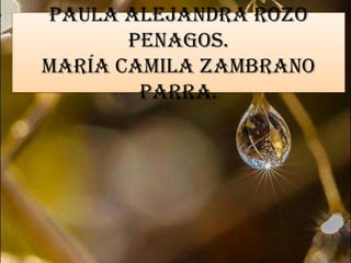 Paula Alejandra Rozo
Penagos.
María Camila Zambrano
Parra.

 