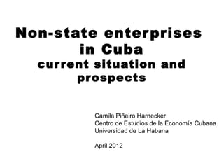 Non-state enterprises 
in Cuba 
cur rent situation and 
prospects 
Camila Piñeiro Harnecker 
Centro de Estudios de la Economía Cubana 
Universidad de La Habana 
April 2012 
 