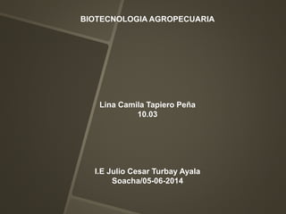 BIOTECNOLOGIA AGROPECUARIA
Lina Camila Tapiero Peña
10.03
I.E Julio Cesar Turbay Ayala
Soacha/05-06-2014
 