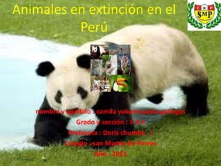 Animales en extinción en el
Perú
nombre y apellido : camila yakumi pajita gallegos
Grado y sección : 5 A II
Profesora : Doris chumbe . r
Colegio : san Martin de Porres
Año : 2015
 
