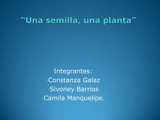 Integrantes:
  •Constanza Galaz
   •Sivoney Barrios
•Camila Manquelipe.
 