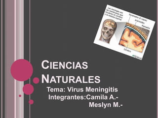 CIENCIAS
NATURALES
Tema: Virus Meningitis
Integrantes:Camila A.-
Meslyn M.-
 