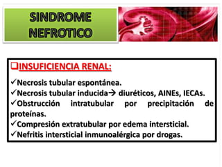 INSUFICIENCIA RENAL:
Necrosis tubular espontánea.
Necrosis tubular inducida diuréticos, AINEs, IECAs.
Obstrucción intratubular por precipitación de
proteínas.
Compresión extratubular por edema intersticial.
Nefritis intersticial inmunoalérgica por drogas.
 