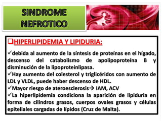 HIPERLIPIDEMIA Y LIPIDURIA:
debida al aumento de la síntesis de proteínas en el hígado,
descenso del catabolismo de apolipoproteína B y
disminución de la lipoproteinlipasa.
Hay aumento del colesterol y triglicéridos con aumento de
LDL y VLDL, puede haber descenso de HDL.
Mayor riesgo de ateroesclerosis IAM, ACV
La hiperlipidemia condiciona la aparición de lipiduria en
forma de cilindros grasos, cuerpos ovales grasos y células
epiteliales cargadas de lípidos (Cruz de Malta).
 