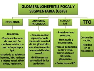 GLOMERULONEFRITIS FOCAL Y
                        SEGMENTARIA (GSFS)

                                                     CLINICA Y
    ETIOLOGIA                ANATOMIA
                            PATOLOGICA                  LAB             TTO
                                                  - Proteinuria no
     - Idiopática.         - Colapso capilar          selectiva.
 -Puede evolucionar         segmentario de                             Corticoides
                                                   - Hematuria y         + CFM.
   de una enf. De         menos de la mitad
                                                    Leucocituria.
 cambios mínimos o        de los glomérulos                             -Recidiva
 una nefropatía por       con atrapamiento      - Fracaso de función      en el
        IgA.              de material hialino       renal HTA,        trasplante
                                amorfo.            disminución en
-asociado a: adictos a
                                                      filtración
heroína, VIH, rechazo      -MBG muestra
                                                     glomerular.
 a injerto renal, riñón   borrosidad de los
    único, radiación.        podocitos.         - Evoluciona a IRC.
 