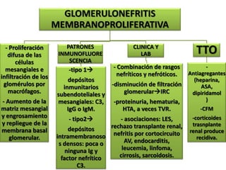 GLOMERULONEFRITIS
                      MEMBRANOPROLIFERATIVA

                         PATRONES                 CLINICA Y
  - Proliferación
   difusa de las       INMUNOFLUORE                  LAB                   TTO
       células            SCENCIA
  mesangiales e           -tipo 1         - Combinación de rasgos             -
                                            nefríticos y nefróticos.    Antiagregantes
infiltración de los        depósitos                                      (heparina,
 glomérulos por          inmunitarios      -disminución de filtración        ASA,
   macrófagos.         subendoteliales y       glomerularIRC            dipiridamol
- Aumento de la        mesangiales: C3,    -proteinuria, hematuria,            )
matriz mesangial          IgG o IgM.          HTA, a veces TVR.             -CFM
y engrosamiento            - tipo2         - asociaciones: LES,         -corticoides
y repliegue de la                        rechazo transplante renal,      trasnplante
membrana basal             depósitos                                    renal produce
   glomerular.        intramembranoso nefritis por cortocircuito           recidiva.
                       s densos: poca o       AV, endocarditis,
                          ninguna Ig y       leucemia, linfoma,
                        factor nefrítico    cirrosis, sarcoidosis.
                              C3.
 