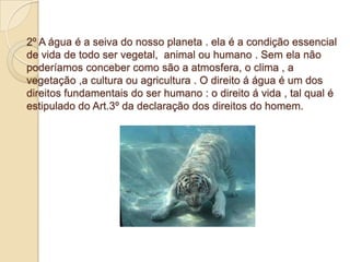 2º A água é a seiva do nosso planeta . ela é a condição essencial
de vida de todo ser vegetal, animal ou humano . Sem ela não
poderíamos conceber como são a atmosfera, o clima , a
vegetação ,a cultura ou agricultura . O direito á água é um dos
direitos fundamentais do ser humano : o direito á vida , tal qual é
estipulado do Art.3º da declaração dos direitos do homem.
 
