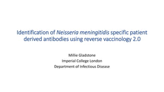 Identification of Neisseria meningitidis specific patient
derived antibodies using reverse vaccinology 2.0
Millie Gladstone
Imperial College London
Department of Infectious Disease
 
