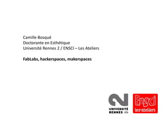 Camille Bosqué
Doctorante en Esthétique
Université Rennes 2 / ENSCI – Les Ateliers

FabLabs, hackerspaces, makerspaces

 