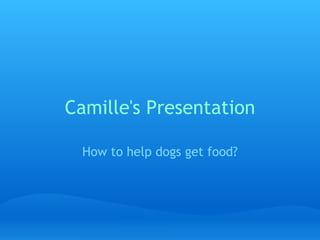 Camille's Presentation How to help dogs get food?   