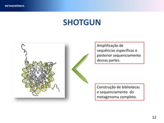 SHOTGUN
METAGENÔMICA
12
Amplificação de
sequências específicas e
posterior sequenciamento
dessas partes.
Construção de bibliotecas
e sequenciamento do
metagenoma completo.
 