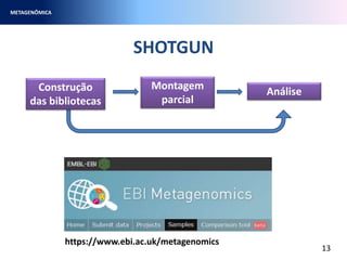 SHOTGUN
METAGENÔMICA
13
Montagem
parcial
AnáliseConstrução
das bibliotecas
https://www.ebi.ac.uk/metagenomics
 