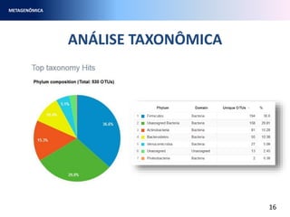 ANÁLISE TAXONÔMICA
METAGENÔMICA
16
 