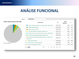ANÁLISE FUNCIONAL
METAGENÔMICA
18
 