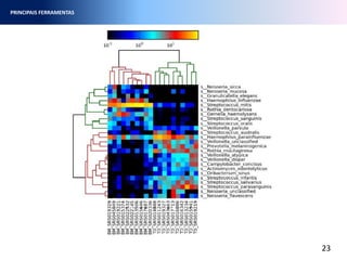 23
PRINCIPAIS FERRAMENTAS
 