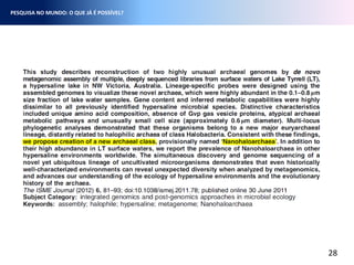 28
PESQUISA NO MUNDO: O QUE JÁ É POSSÍVEL?
 
