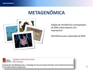 METAGENÔMICA
METAGENÔMICA
7
Adição de clorofórmio e precipitação
do DNA sobrenadante com
isopropanol.
Eletroforese para separação do DNA.
 