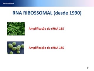 RNA RIBOSSOMAL (desde 1990)
METAGENÔMICA
9
Amplificação do rRNA 16S
Amplificação do rRNA 18S
 