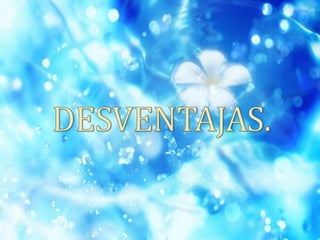 Agrega la descripción del servicio que quieres ofrecer.