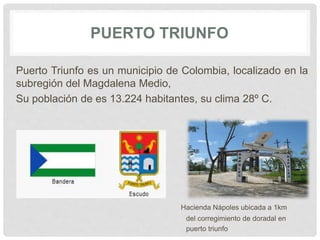 PUERTO TRIUNFO
Puerto Triunfo es un municipio de Colombia, localizado en la
subregión del Magdalena Medio,
Su población de es 13.224 habitantes, su clima 28º C.
Hacienda Nápoles ubicada a 1km
del corregimiento de doradal en
puerto triunfo
 