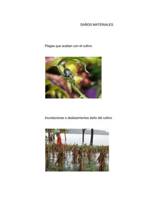 DAÑOS MATERIALES




Plagas que acaben con el cultivo




Inundaciones o deslizamientos daño del cultivo
 