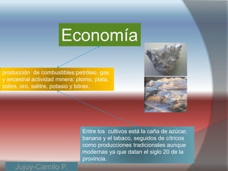 Economía
                                                           fotos
producción de combustibles:petróleo, gas
y ancestral actividad minera: plomo, plata,
cobre, oro, salitre, potasio y bórax.




                                Entre los cultivos está la caña de azúcar,
                                banana y el tabaco, seguidos de cítricos
                                como producciones tradicionales aunque
                                modernas ya que datan el siglo 20 de la
                                provincia.
     Jujuy-Camilo P.
 