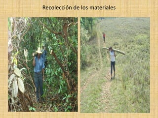 Innovación (comederos artesanales)