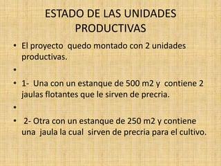 UNIDADES PRODUCTIVAS EN JAULASMÉTODO ARTESANAL