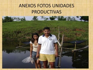 UBICACIÓN DE LAS UNIDADES PRODUCTIVASLas unidades productivas se encuentran ubicada en la calle principal de la vereda de Nicaragua (Càceres) 1 – La primera unidad se encuentra   Frente al          colegio -Finca don Mario2-  La segunda unidad se encuentra en Casa  del Señor Ramón Macea