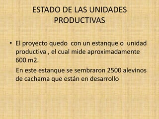 ESTANQUE UNIDAD PRODUCTIVA