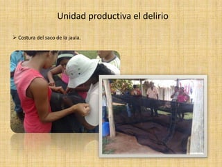 Consecución de los materiales 