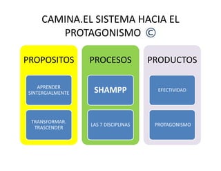 CAMINA.EL SISTEMA HACIA EL
PROTAGONISMO ©
PROPOSITOS
APRENDER
PROCESOS
SHAMPP
PRODUCTOS
APRENDER
SINTERGIALMENTE
TRANSFORMAR.
TRASCENDER
SHAMPP
LAS 7 DISCIPLINAS
EFECTIVIDAD
PROTAGONISMO
 