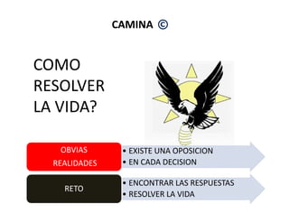 CAMINA ©
COMO
RESOLVER
LA VIDA?LA VIDA?
• EXISTE UNA OPOSICION
• EN CADA DECISION
OBVIAS
REALIDADES
• ENCONTRAR LAS RESPUESTAS
• RESOLVER LA VIDA
RETO
 