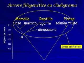 Árvore filogenético ou cladograma


                         Mamalia     Reptilia   Pisces
                  0
                        urso macaco lagarto salmão truta
Miljões de anos




                  100               dinossauro
                  150

                  200
                           A
                  250
                                                 Grupo polifilético
                  300




                                             Antecestral comúm
 