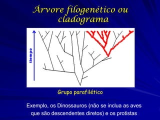 Árvore filogenético ou
       cladograma




            Grupo parafilético

Exemplo, os Dinossauros (não se inclua as aves
 que são descendentes diretos) e os protistas
 