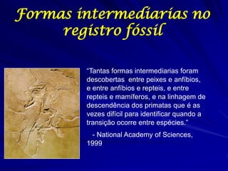 Formas intermediarias no
     registro fóssil

        “Tantas formas intermediarias foram
        descobertas entre peixes e anfíbios,
        e entre anfíbios e repteis, e entre
        repteis e mamíferos, e na linhagem de
        descendência dos primatas que é as
        vezes difícil para identificar quando a
        transição ocorre entre espécies.”
         - National Academy of Sciences,
        1999
 