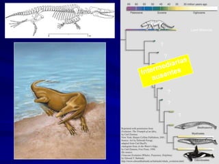 Land Mammal



?

    ?
        ?

        ?

        ?

        ?

            ?
 