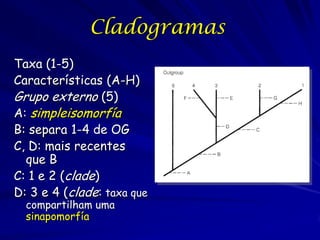 Cladogramas
Taxa (1-5)
Características (A-H)
Grupo externo (5)
A: simpleisomorfía
B: separa 1-4 de OG
C, D: mais recentes
  que B
C: 1 e 2 (clade)
D: 3 e 4 (clade: taxa que
  compartilham uma
  sinapomorfía
 