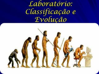 Laboratório:
Classificação e
   Evolução
 