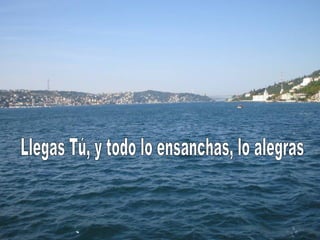 Llegas Tú, y todo lo ensanchas, lo alegras