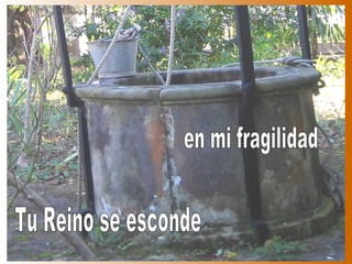 Tu Reino se esconde en mi fragilidad