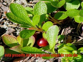 está presente en las pequeñas cosas de cada día