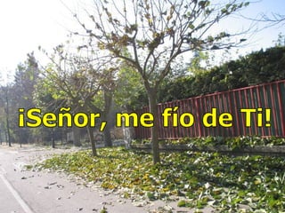 ¡Señor, me fío de Ti!