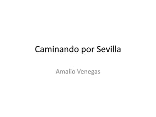 Caminando por Sevilla
Amalio Venegas
 