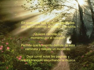 En ocasiones nos sentimos agobiados por los problemas, el trabajo o la rutina ¿Quieres caminar un  momento por el bosque? Permite que tu espíritu disfrute de esta caminata y relájate un momento. Deja correr solas las paginas y respira tranquilo escuchando la música. 